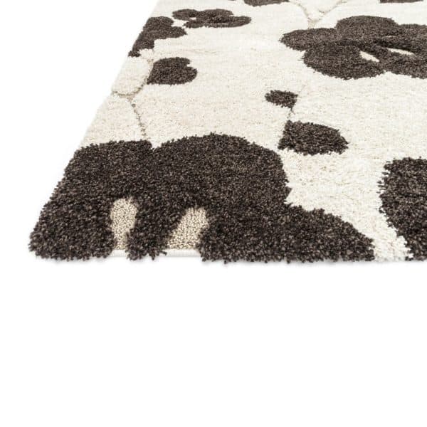 loloi rug, rug, contemporary rug, contemporary living