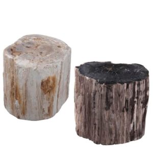 petrified wood, accent table, end table, contemporary living