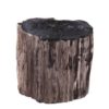 petrified wood, accent table, end table, contemporary living