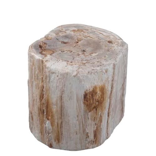 petrified wood, accent table, end table, contemporary living
