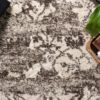 loloi rug, rug, contemporary rug, contemporary living