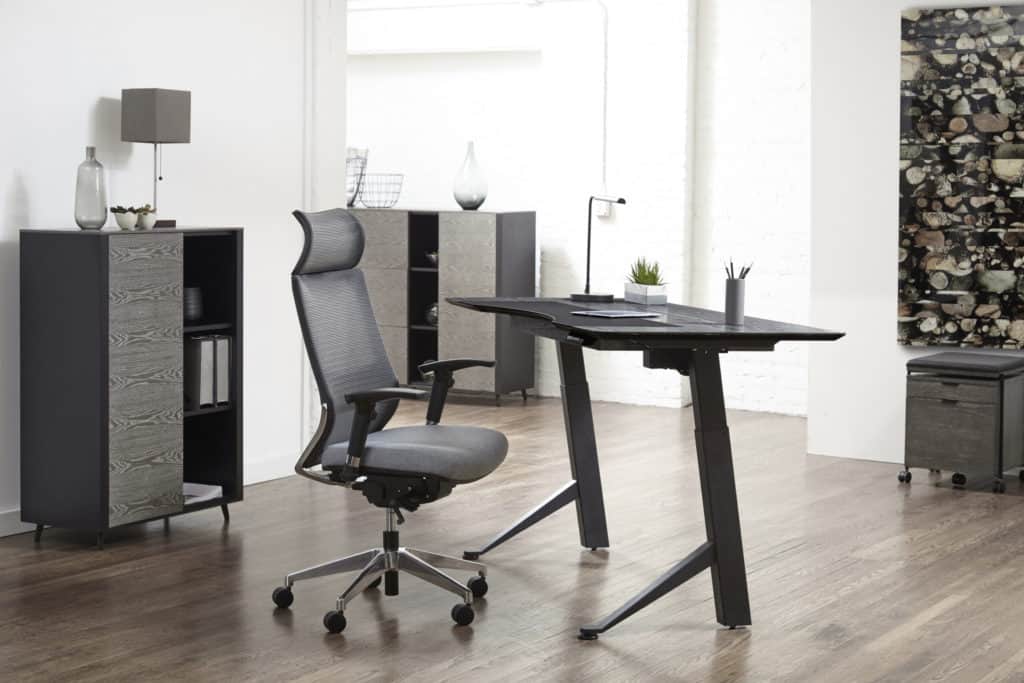 desk, office, contemporary desk, sit-stand desk